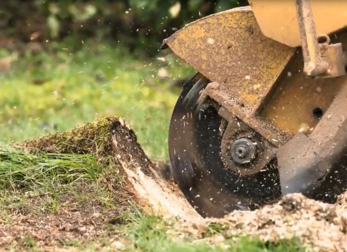 Stump grinding service